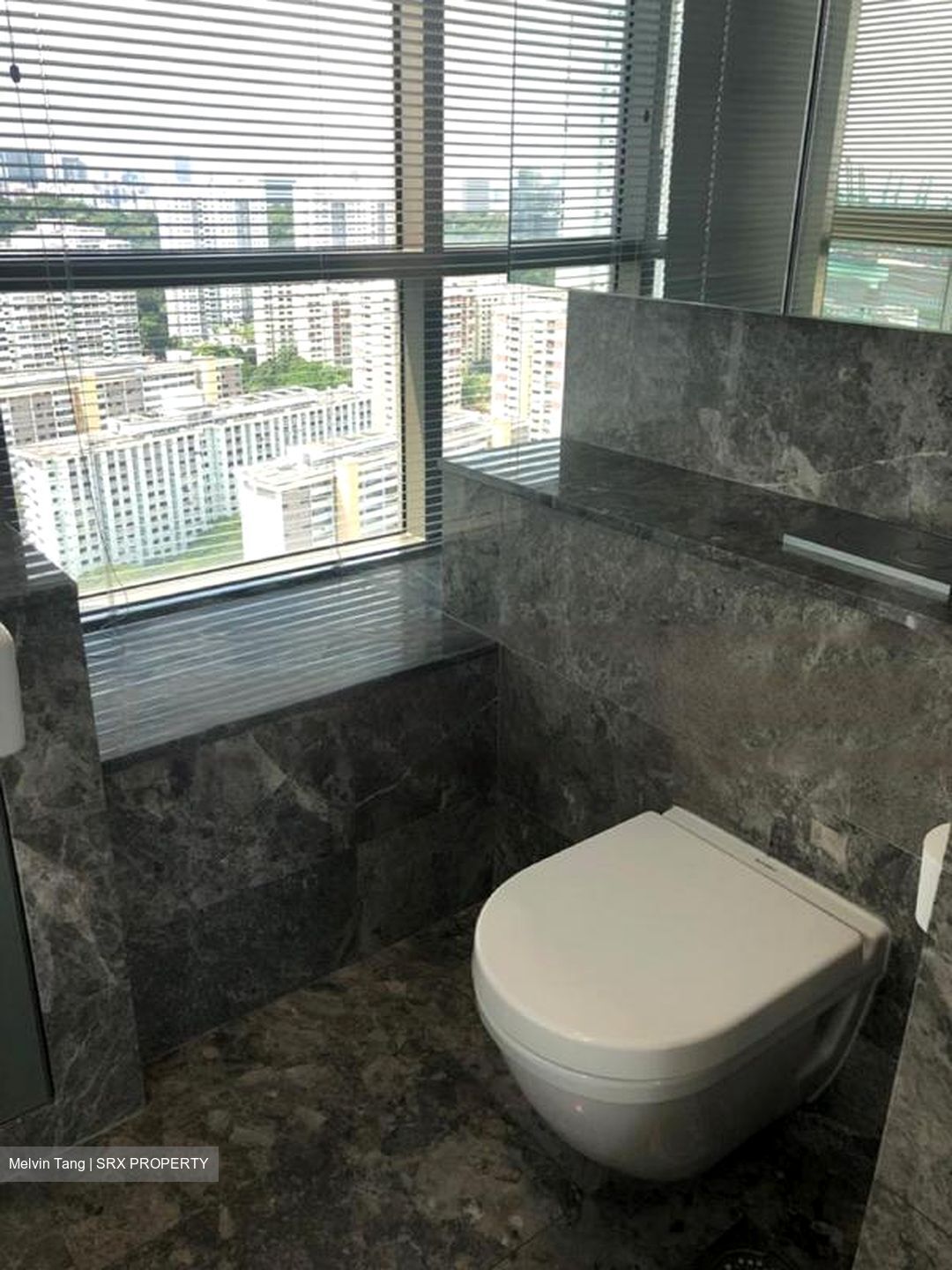 Skyline Residences (D4), Condominium #423129191